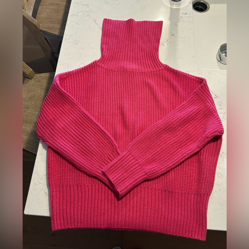 Sanctuary Shaker Turtleneck Sweater